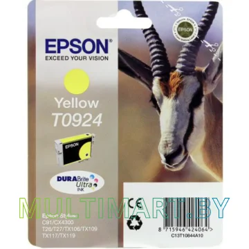 Картридж Epson C13T10844A10